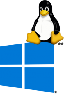 windows_tux Tux sitzt auf Windows